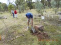 No 9 Squadron Association 2012 Reunion Ipswich photo gallery - Preparing the bed for the memorial stone